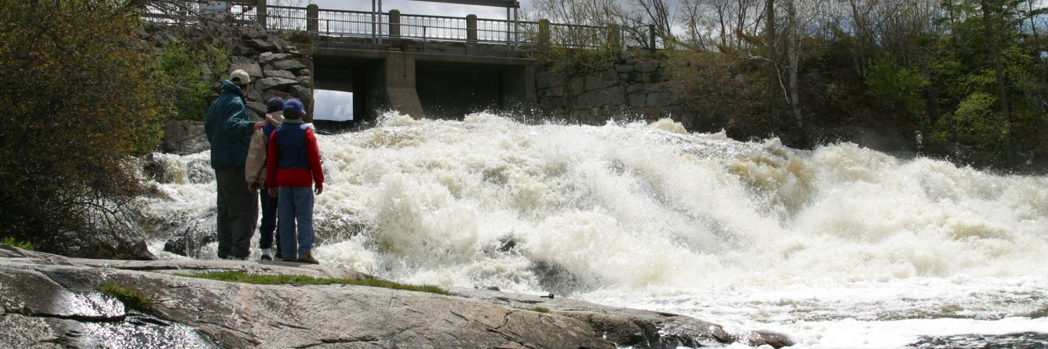 Everything to Do and See Attractions in Nestor Falls, Ontario